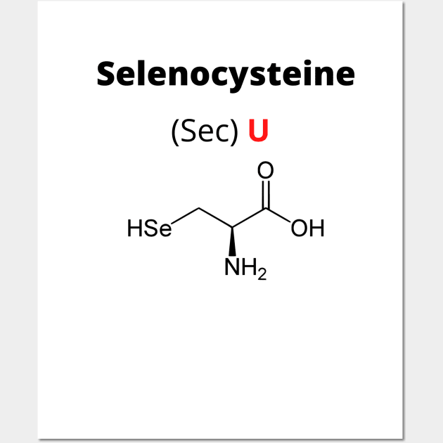 Amino acid selenocysteine Wall Art by RedPOD